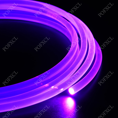 直径12mm照明塑料通体导光光纤泳池轮廓光纤灯